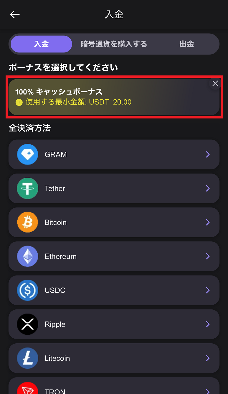 リールズアイオー　初回入金ボーナス　受け取り方0２