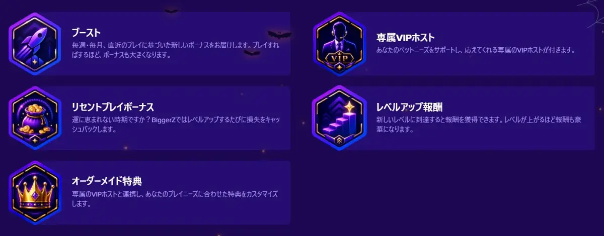 ビガーゼットのVIPプログラム