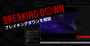 ブレイキングダウン