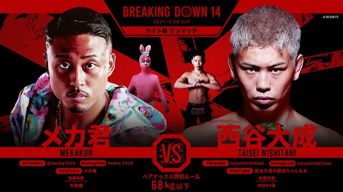 BREAKING DOWN 14 メカ君　VS　西谷大成