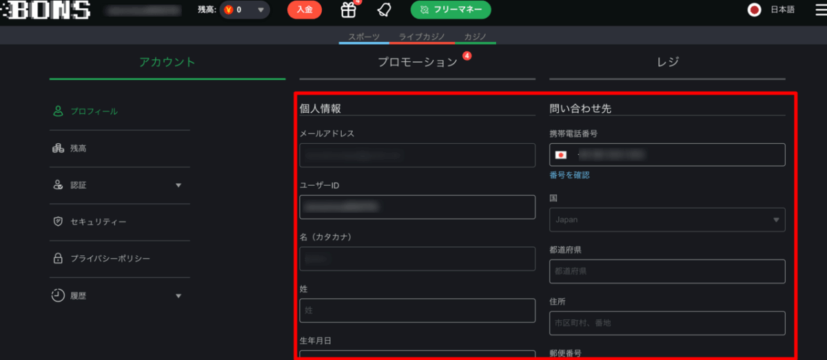 ボンズカジノ　本人確認画面