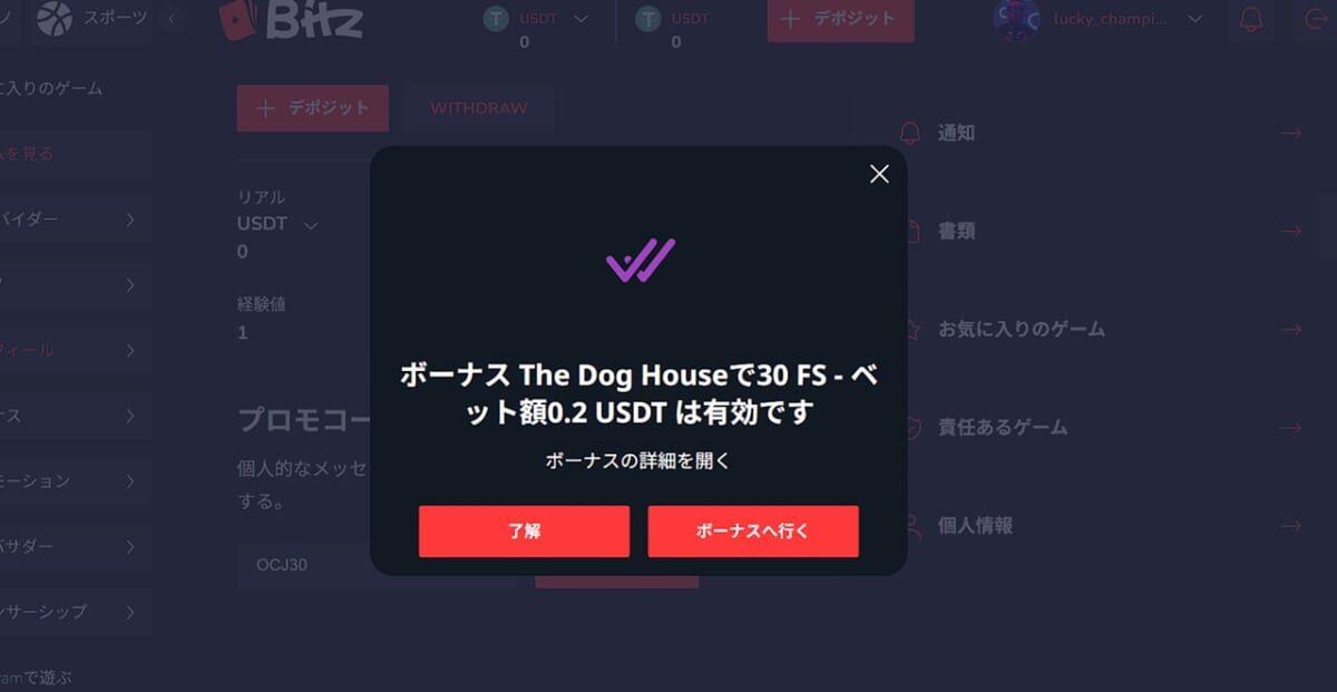 ボーナスの詳細を開く